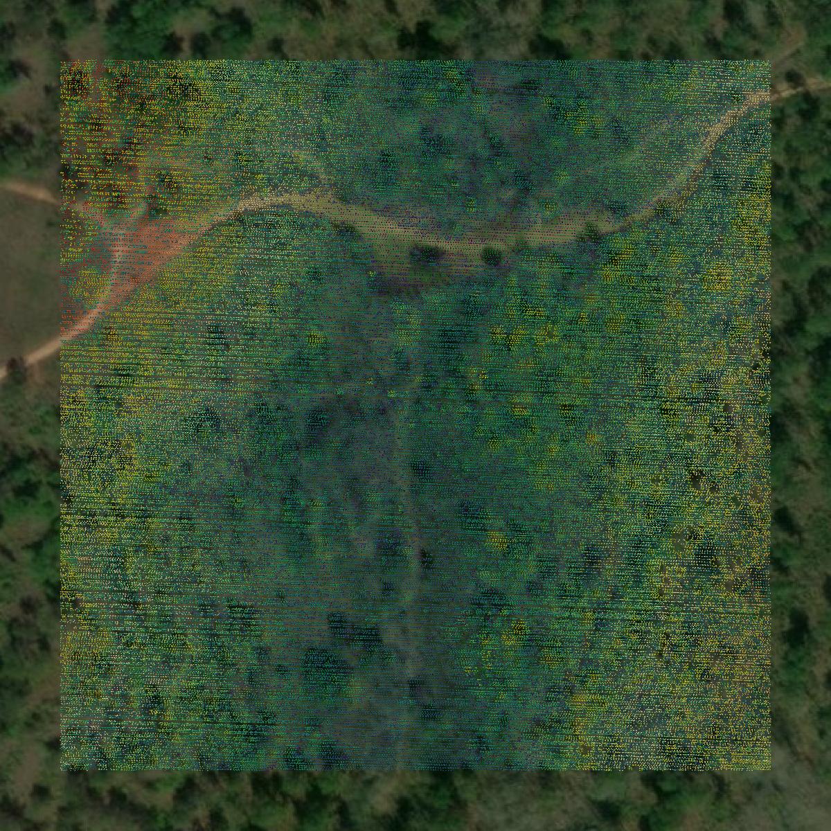 This image shows a LiDAR point cloud in Russell County created using GIS data in Equator.