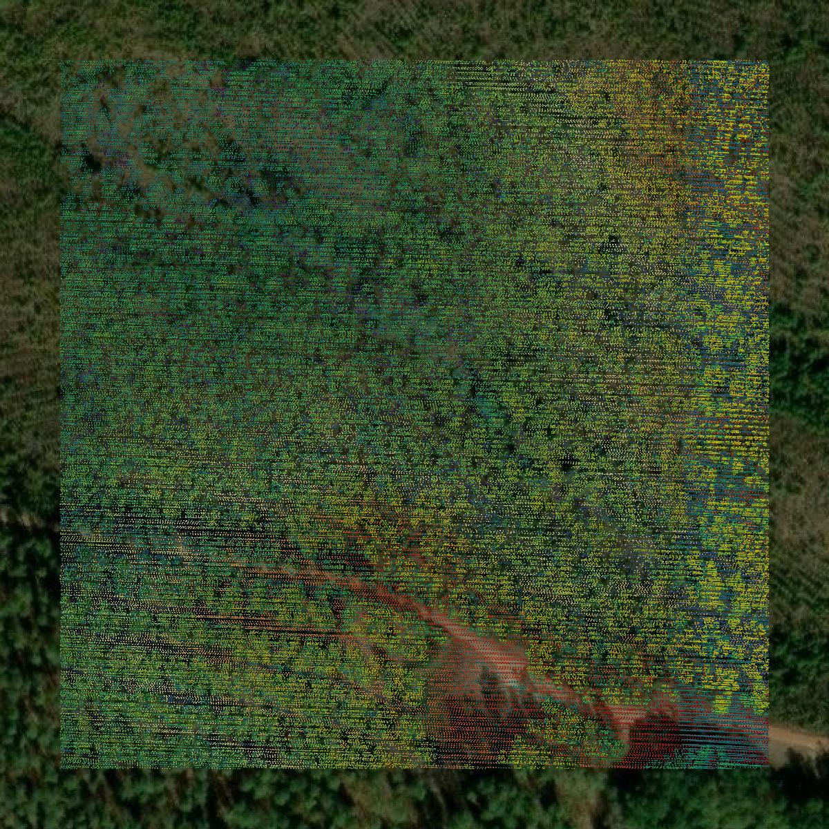 This image shows a LiDAR point cloud in Russell County created using GIS data in Equator.