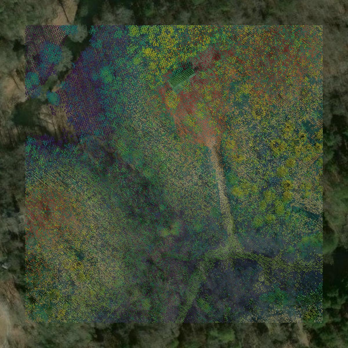 This image shows a LiDAR point cloud in Shelby County created using GIS data in Equator.