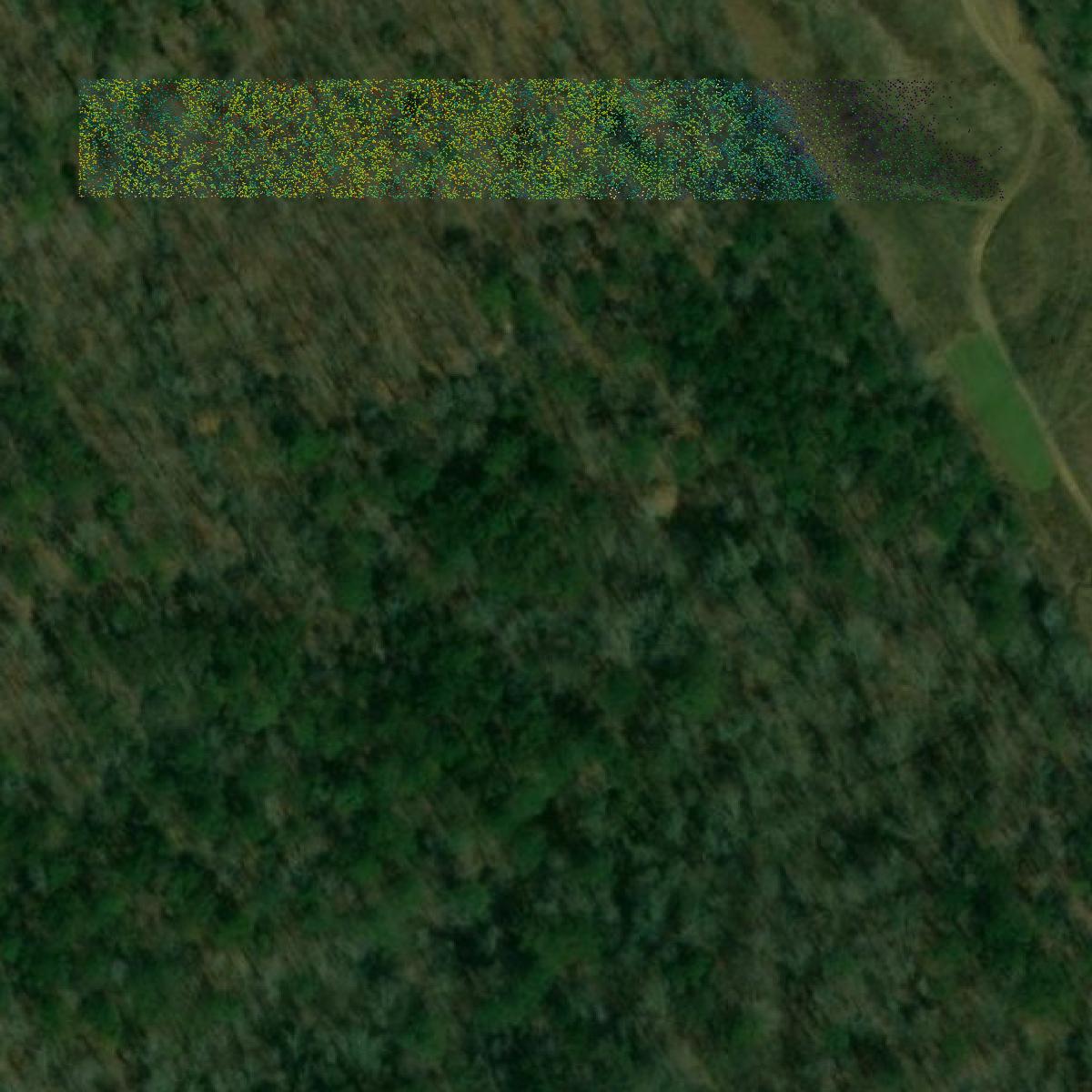 This image shows a LiDAR point cloud in Shelby County created using GIS data in Equator.