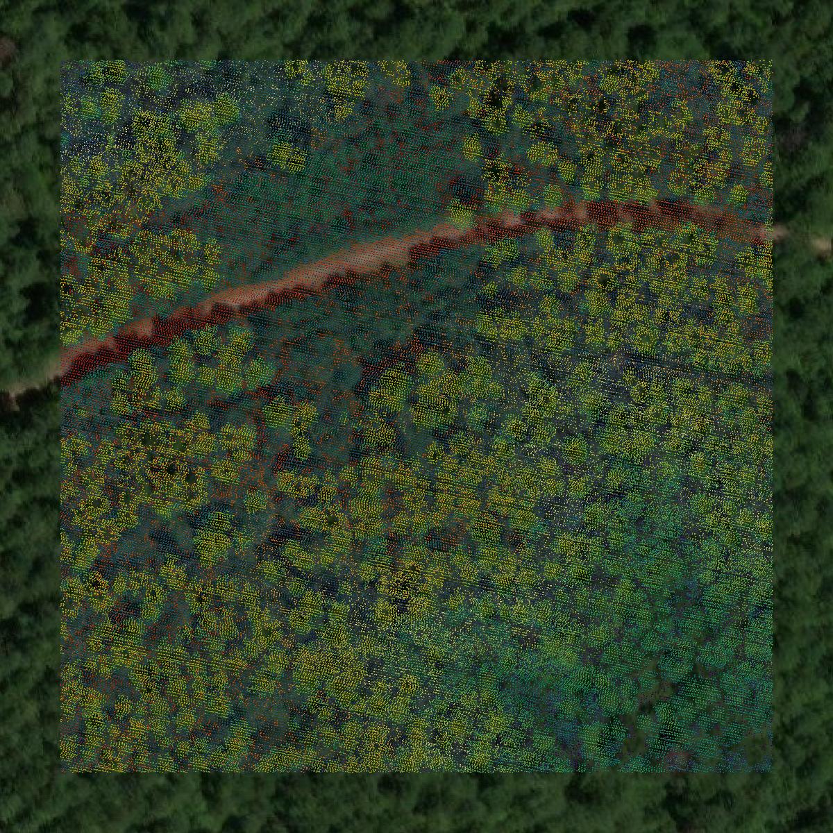 This image shows a LiDAR point cloud in Sumter County created using GIS data in Equator.