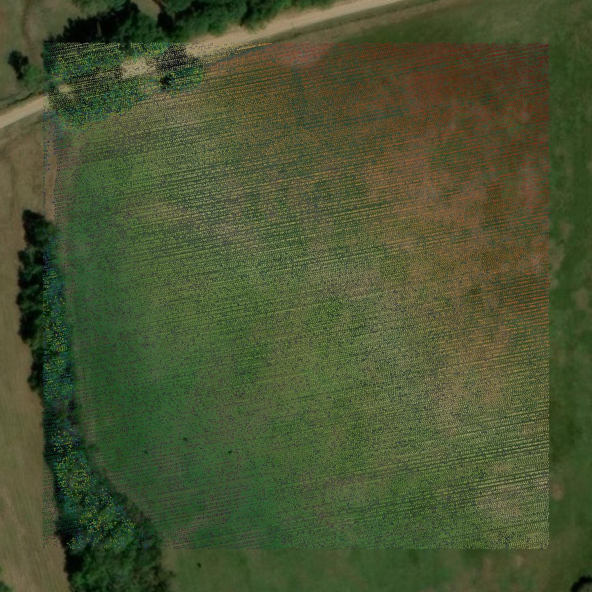 This image shows a LiDAR point cloud in Sumter County created using GIS data in Equator.