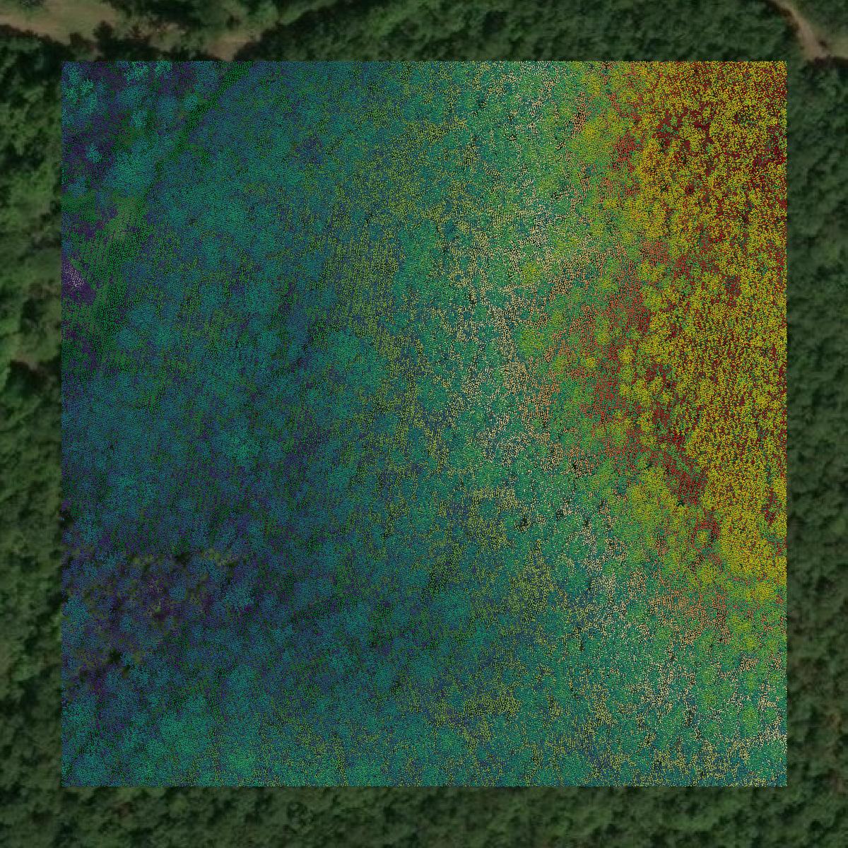 This image shows a LiDAR point cloud in Talladega County created using GIS data in Equator.