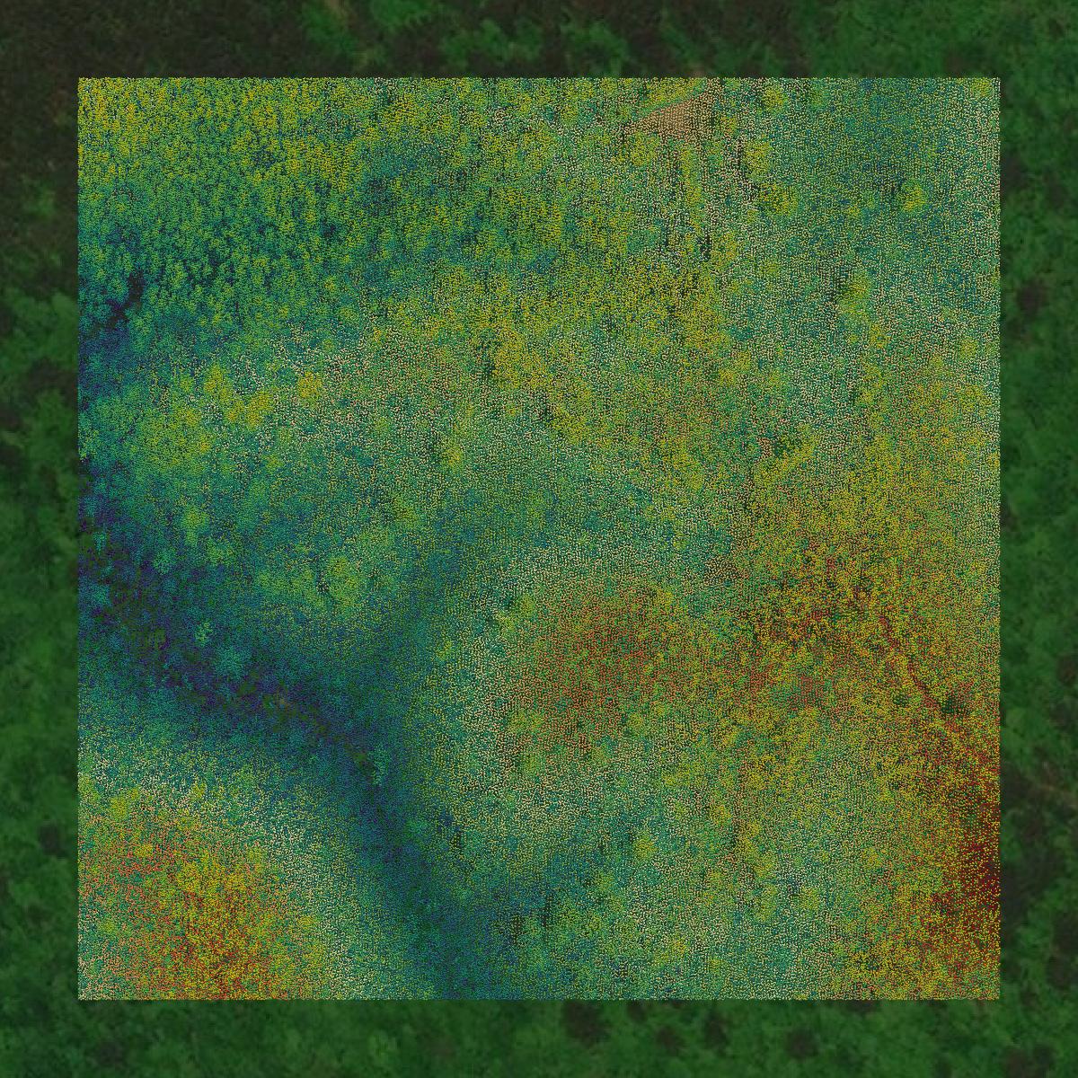 This image shows a LiDAR point cloud in Talladega County created using GIS data in Equator.
