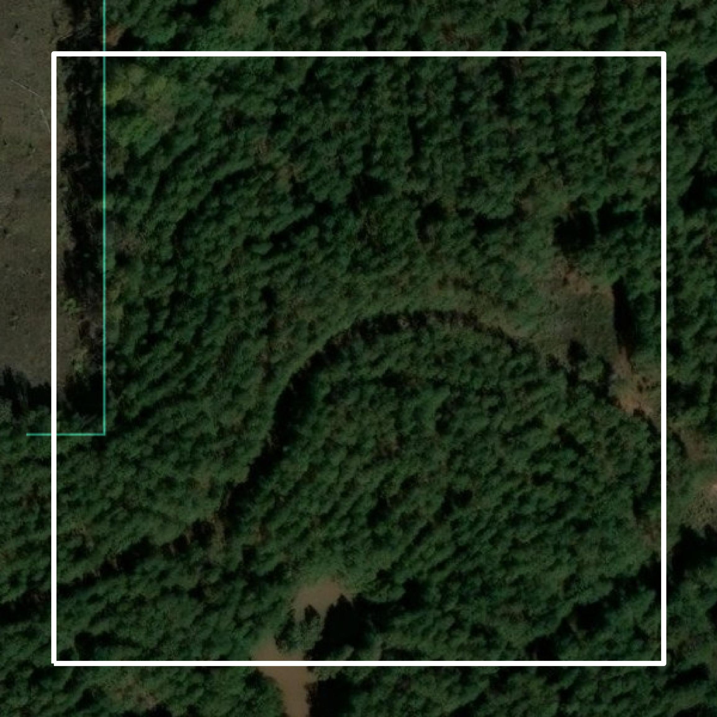 This image shows parcel and building data in Tallapoosa County created using GIS data in Equator.