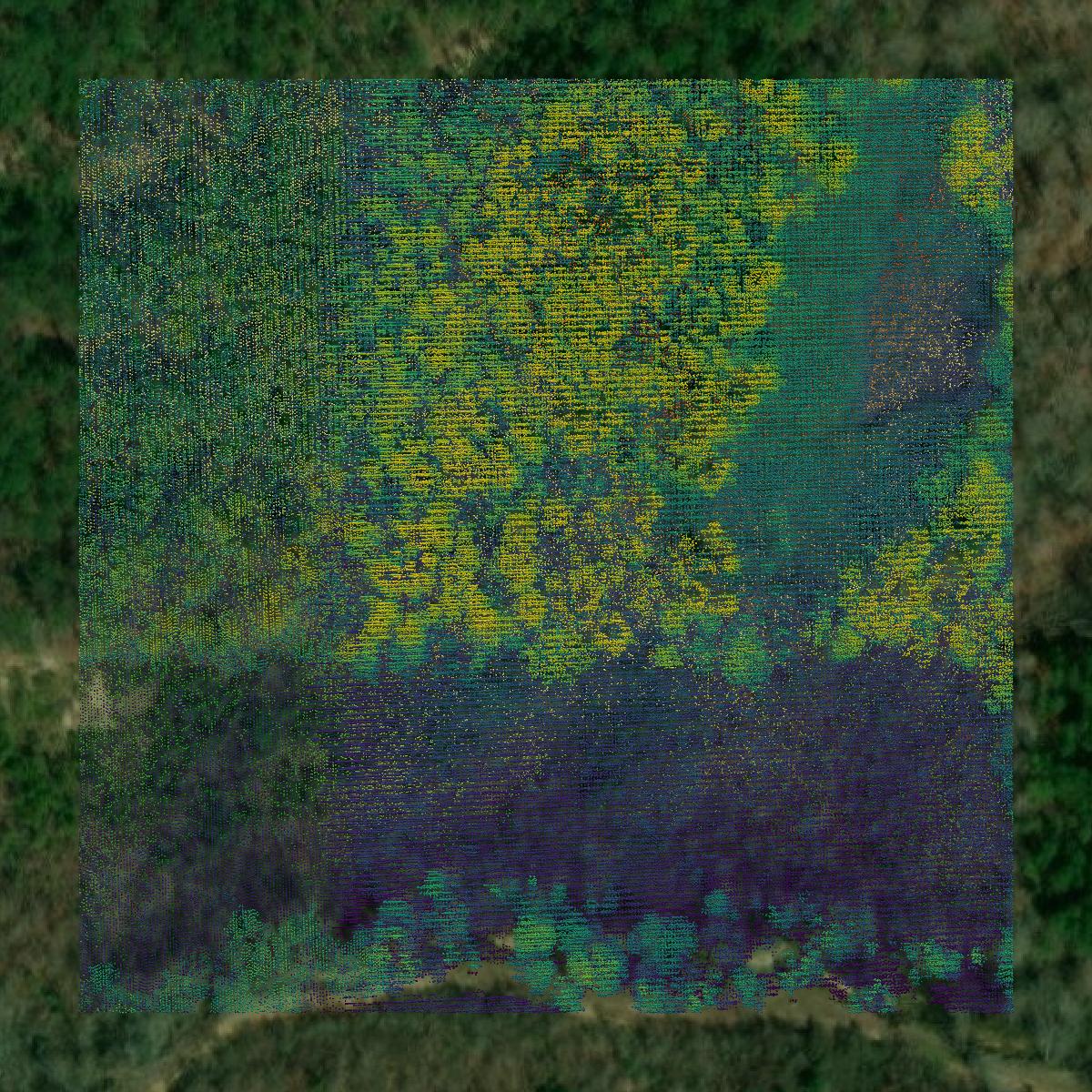 This image shows a LiDAR point cloud in Tallapoosa County created using GIS data in Equator.
