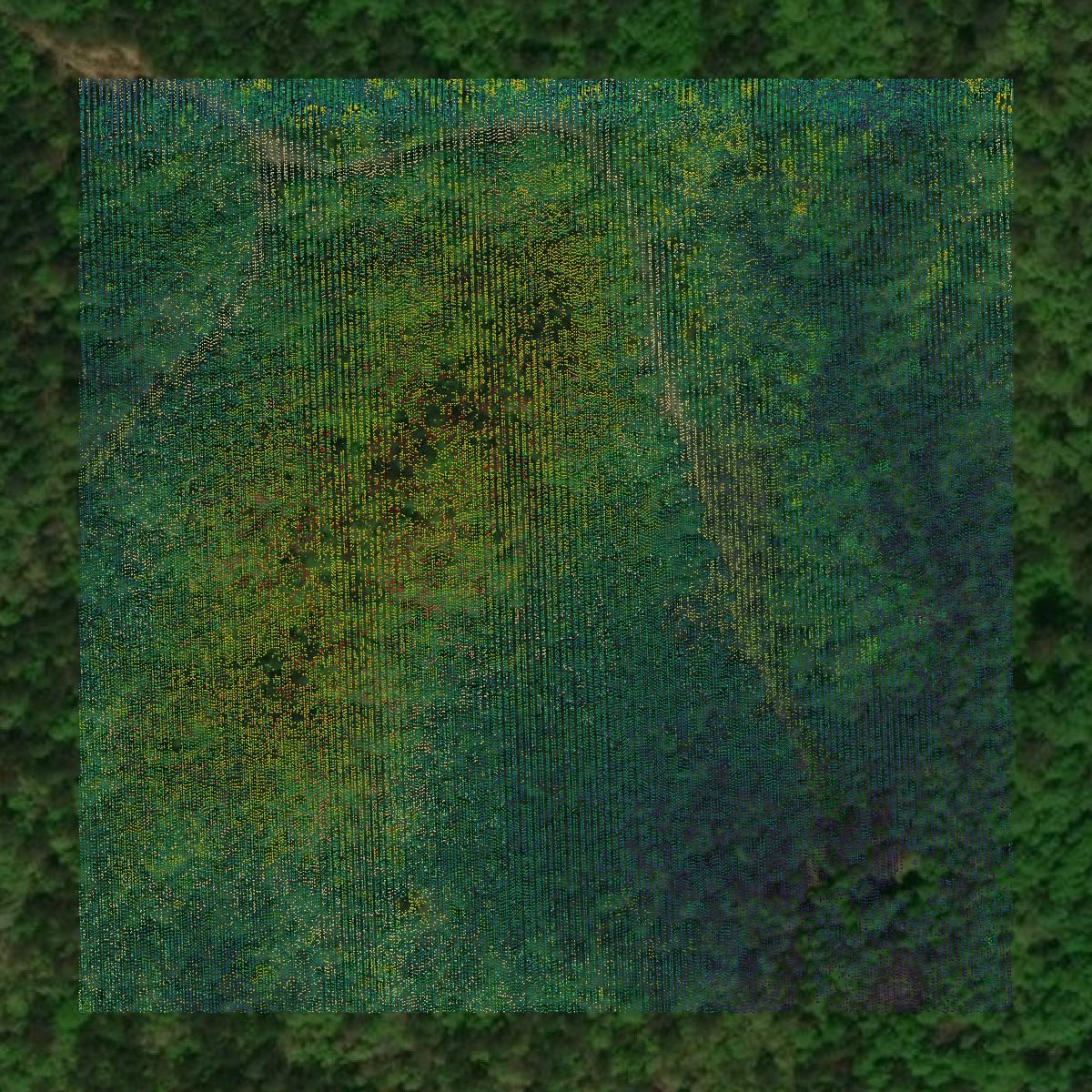 This image shows a LiDAR point cloud in Tallapoosa County created using GIS data in Equator.