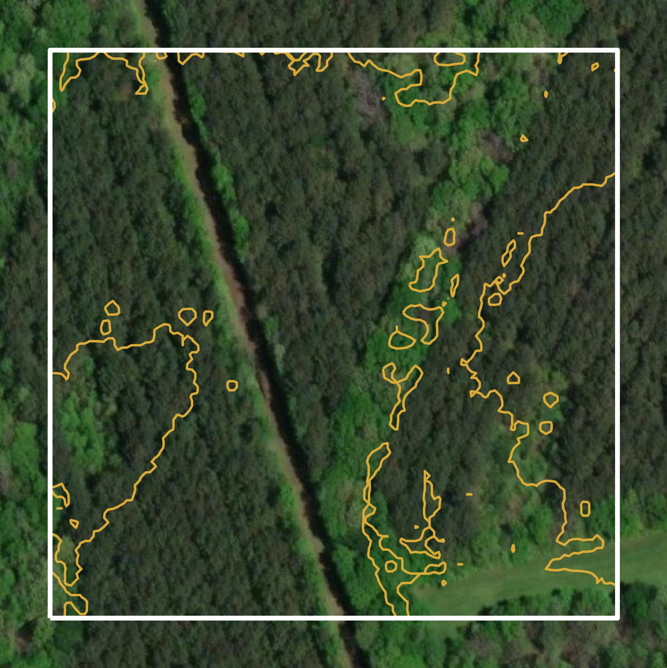 This image shows a contour map in Tuscaloosa County created using GIS data in Equator.