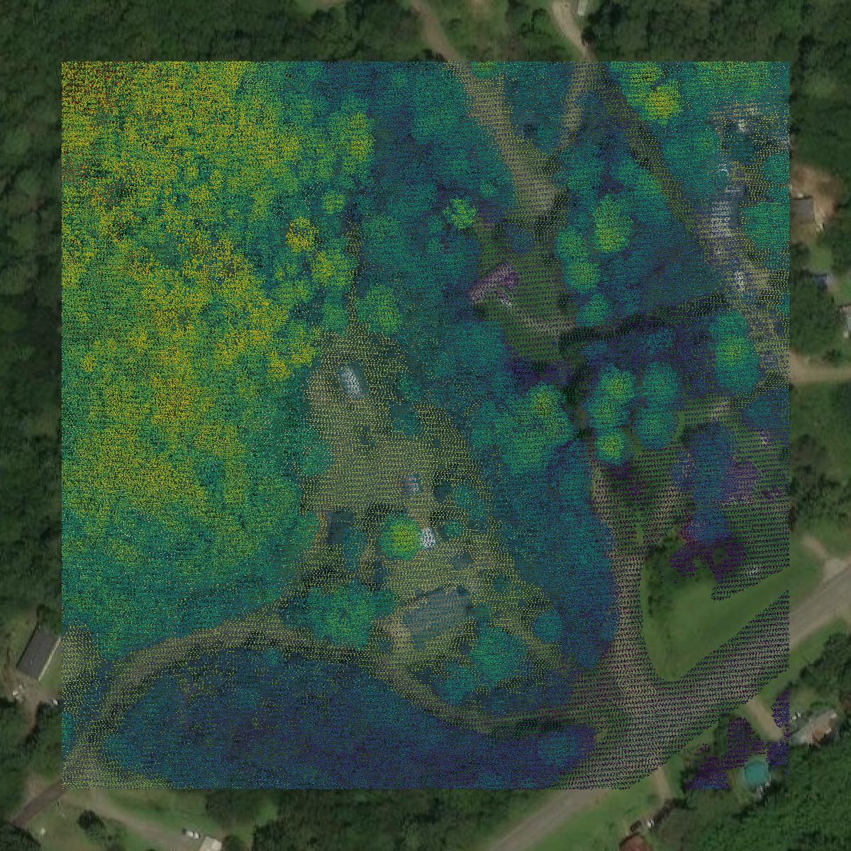 This image shows a LiDAR point cloud in Walker County created using GIS data in Equator.