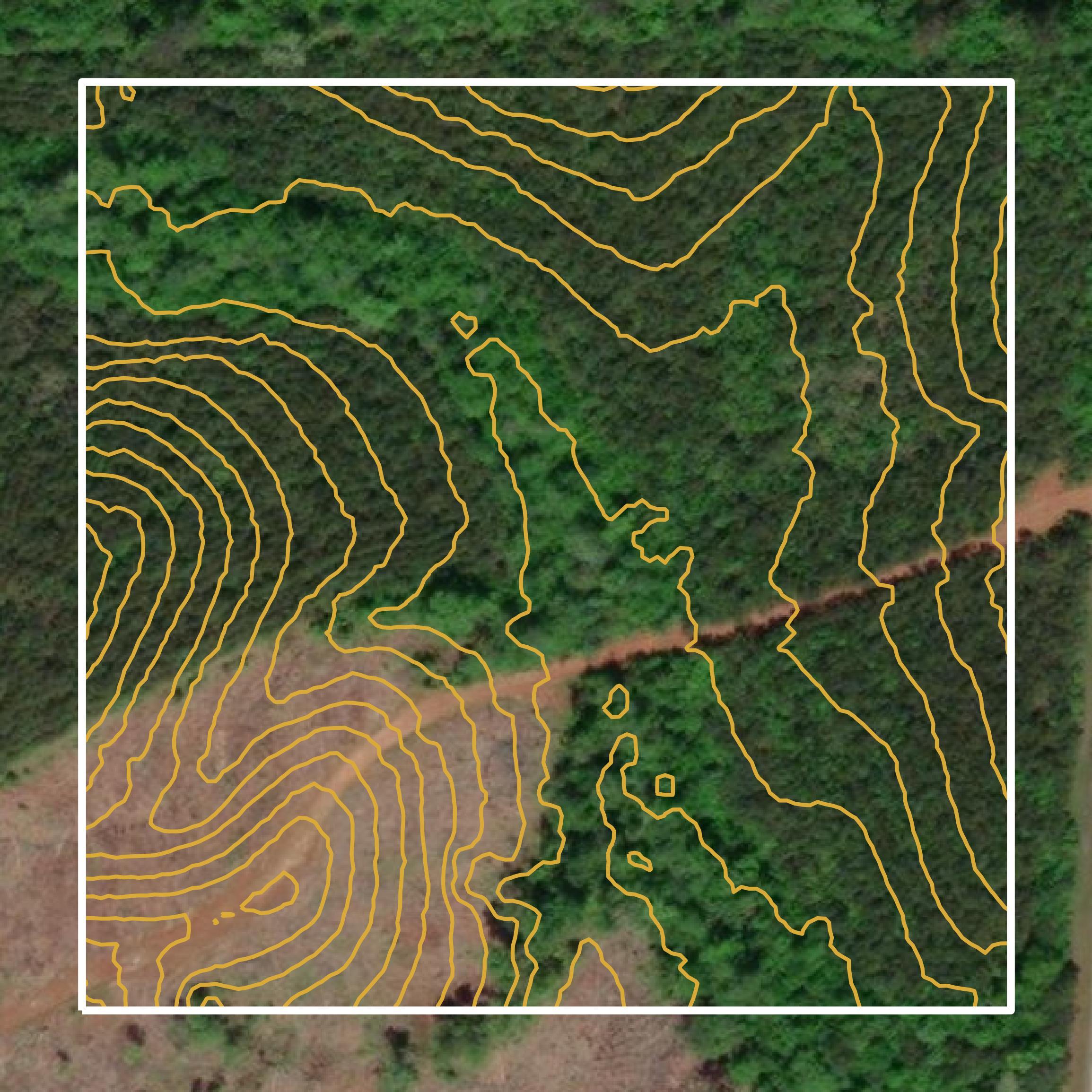 This image shows a contour map in Wilcox County created using GIS data in Equator.