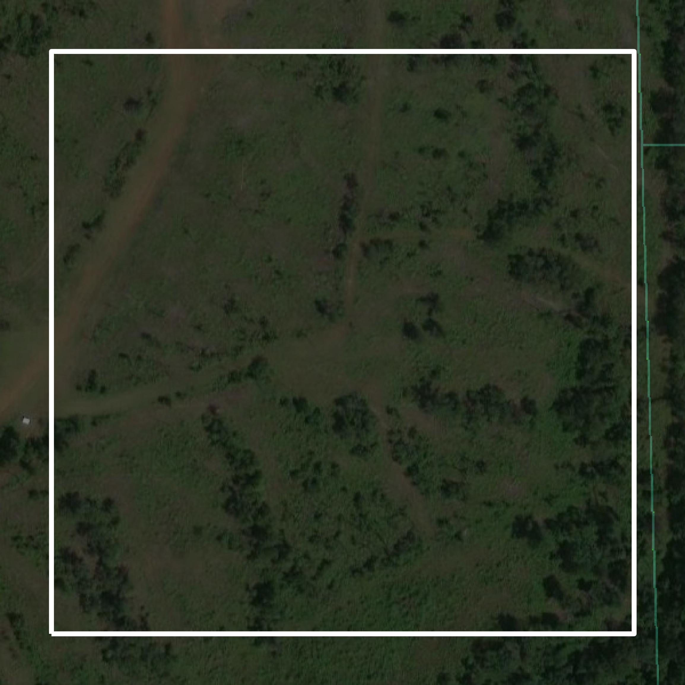 This image shows parcel and building data in Wilcox County created using GIS data in Equator.