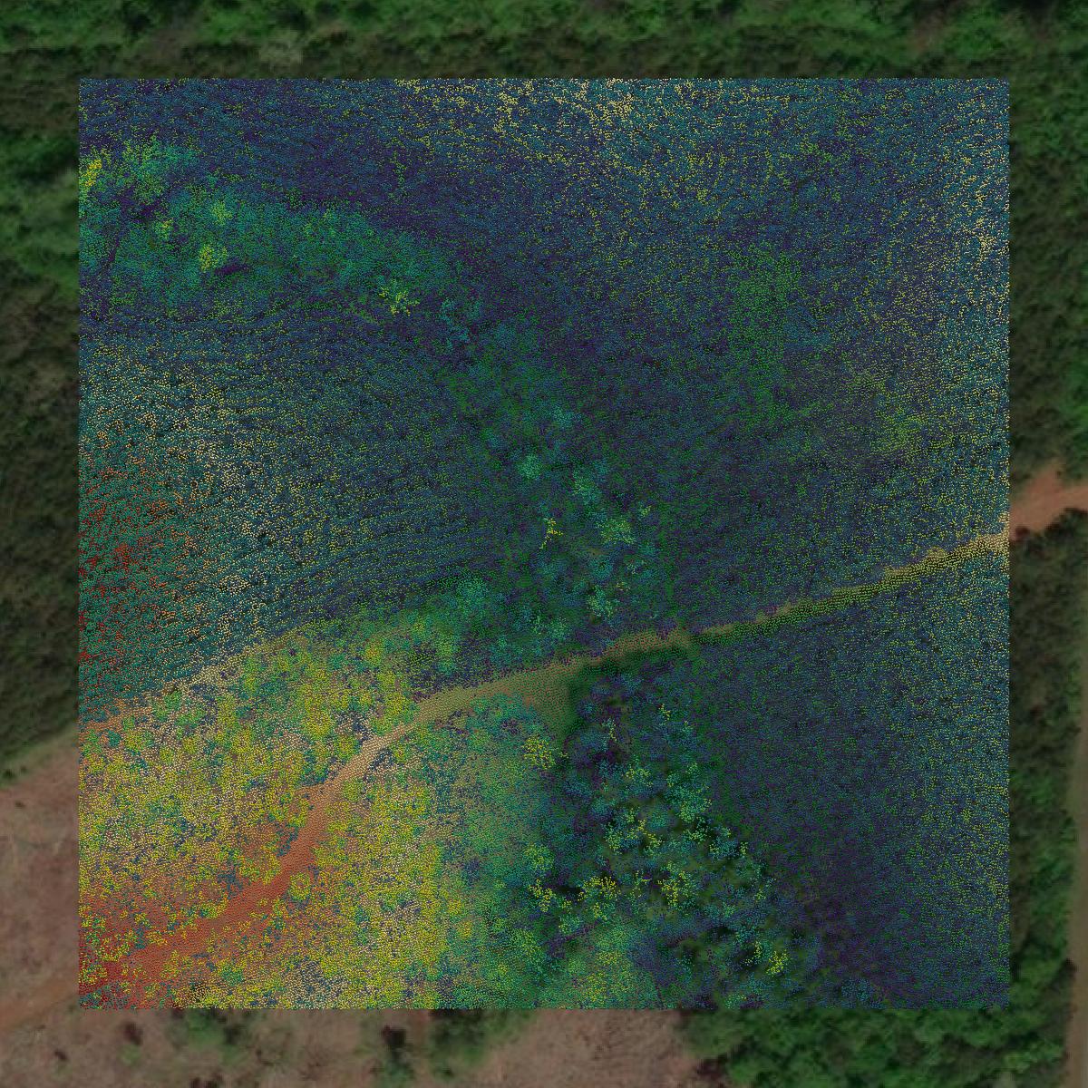 This image shows a LiDAR point cloud in Wilcox County created using GIS data in Equator.