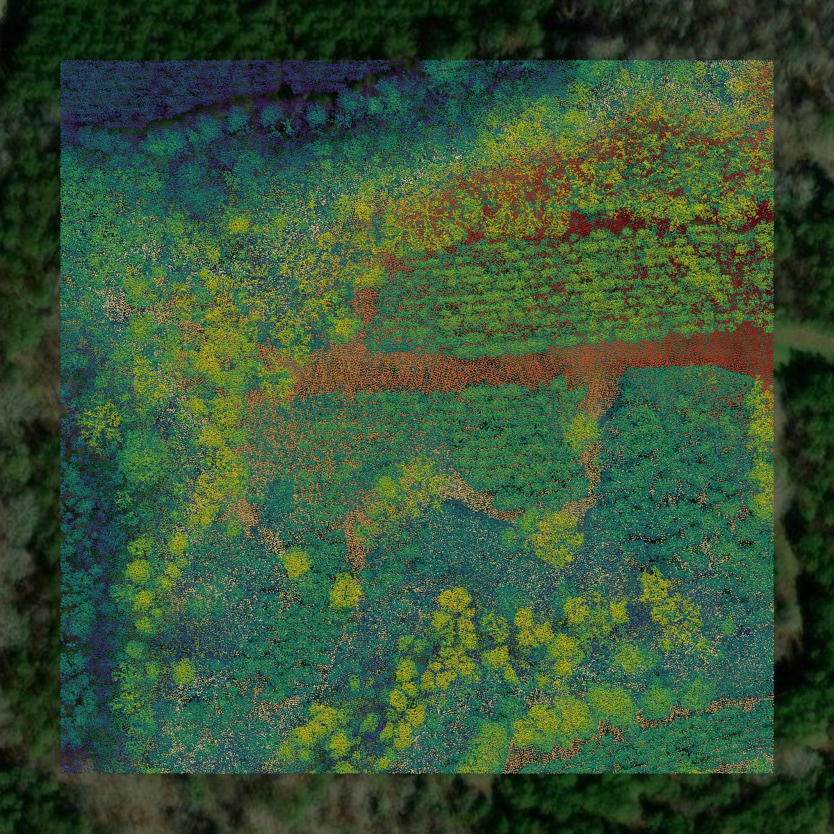 This image shows a LiDAR point cloud in Wilcox County created using GIS data in Equator.
