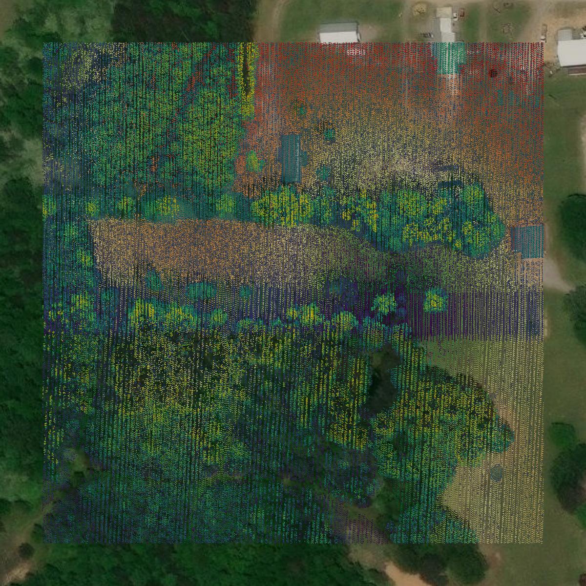 This image shows a LiDAR point cloud in Winston County created using GIS data in Equator.
