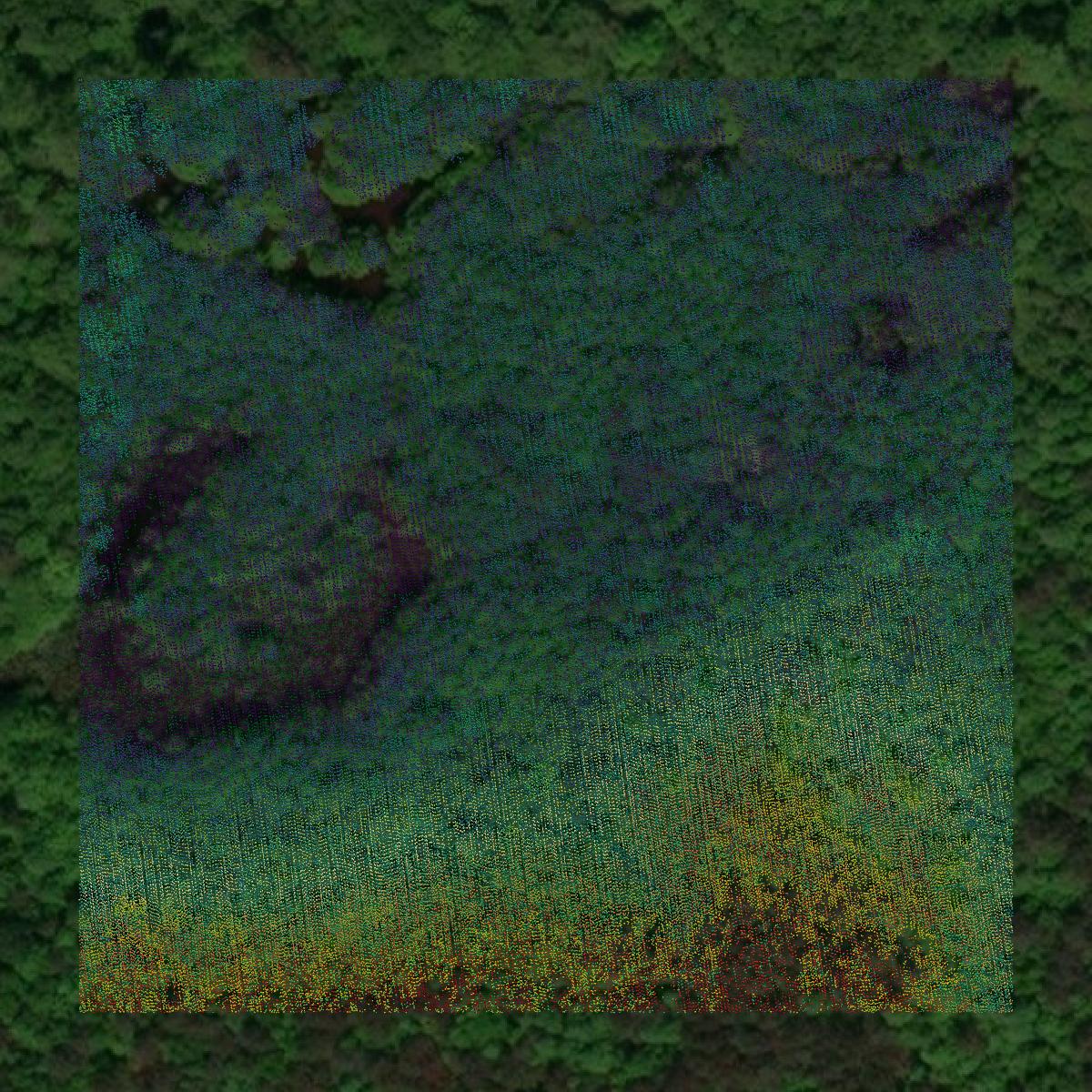 This image shows a LiDAR point cloud in Winston County created using GIS data in Equator.