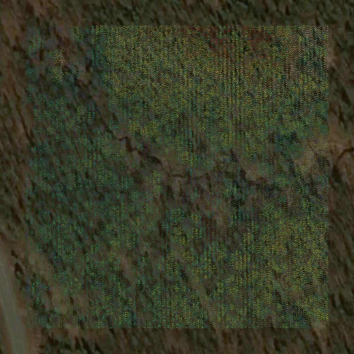 This image shows a LiDAR point cloud in Anchorage Municipality created using GIS data in Equator.