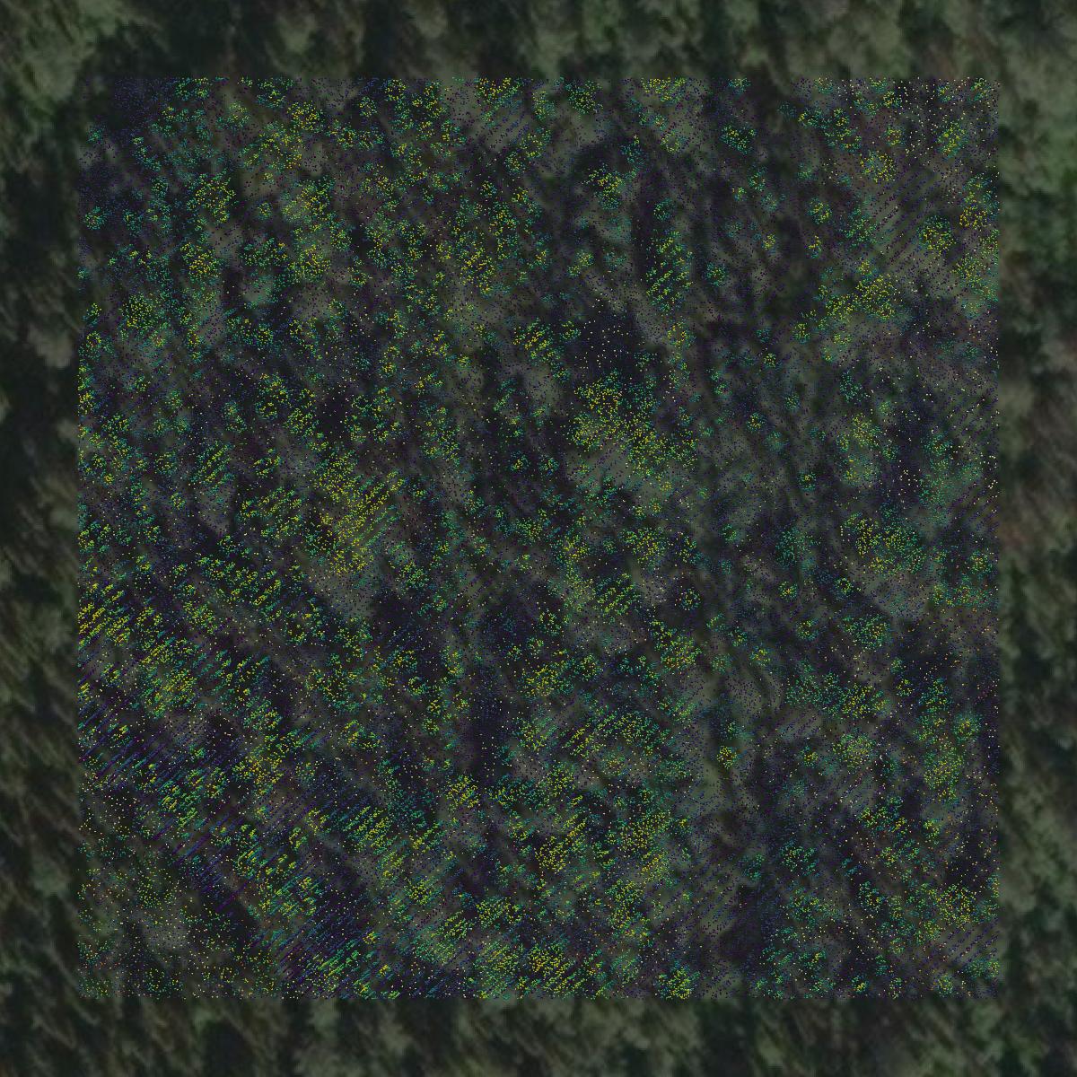 This image shows a LiDAR point cloud in Denali Borough created using GIS data in Equator.
