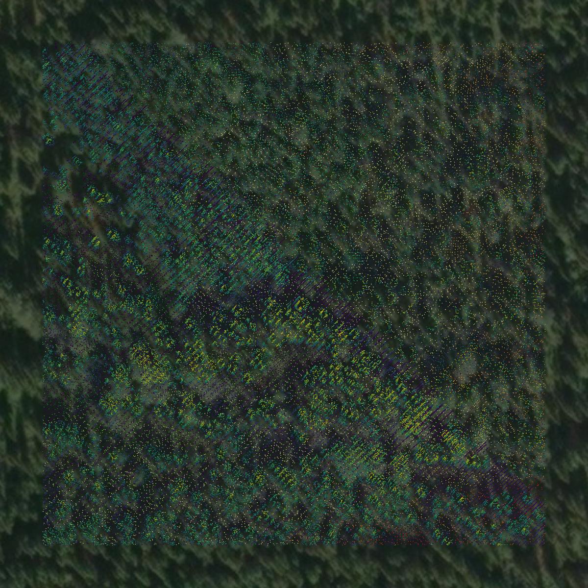 This image shows a LiDAR point cloud in Denali Borough created using GIS data in Equator.