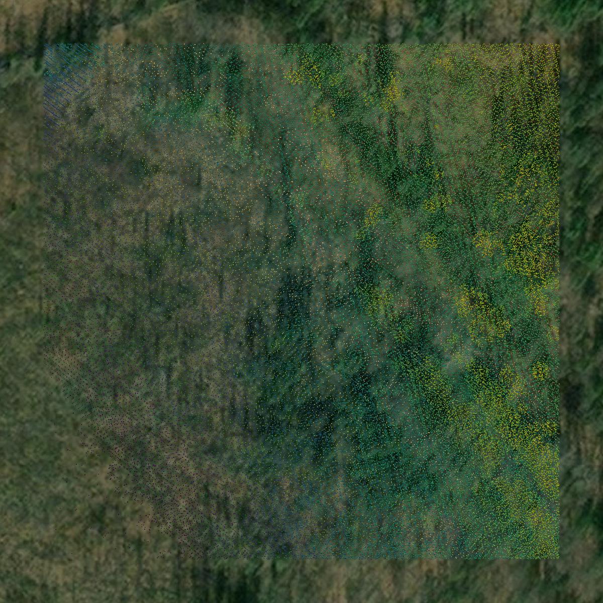 This image shows a LiDAR point cloud in Fairbanks North Star Borough created using GIS data in Equator.