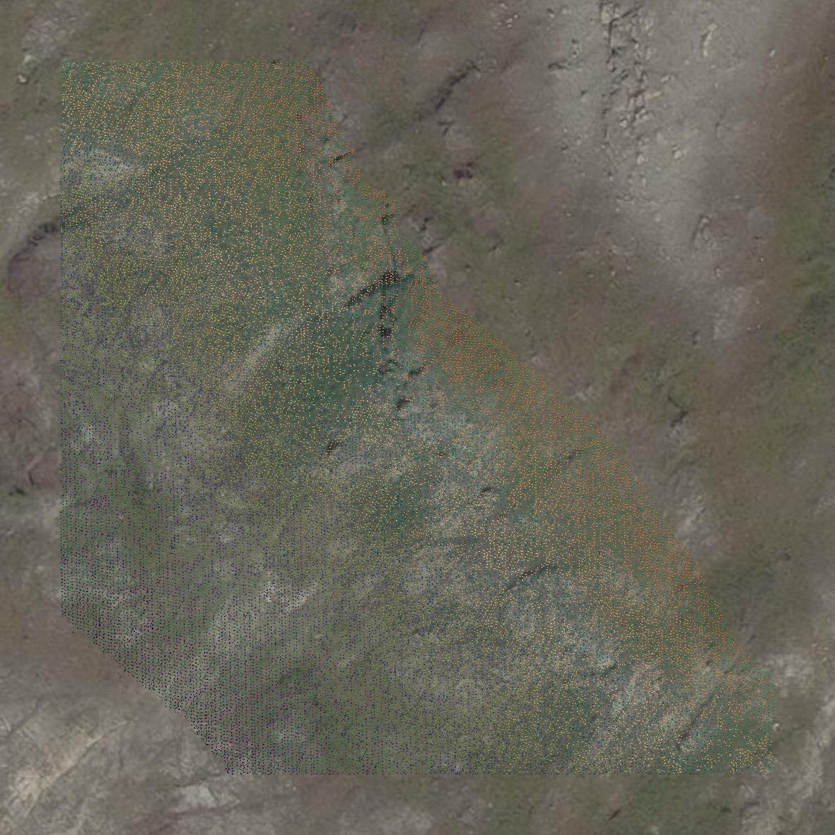 This image shows a LiDAR point cloud in Hoonah-Angoon Census Area created using GIS data in Equator.
