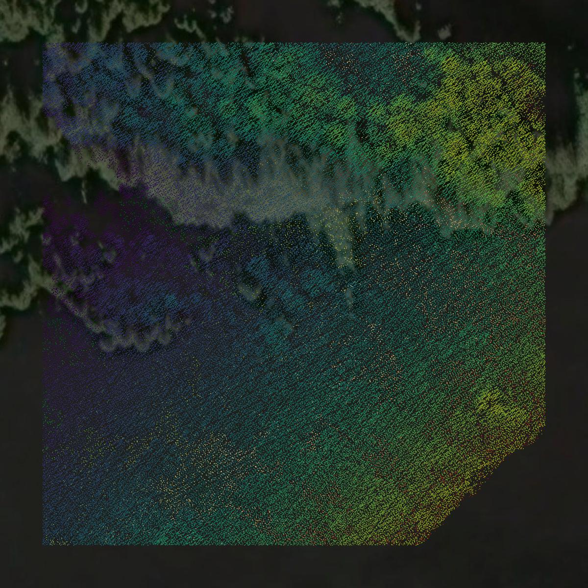 This image shows a LiDAR point cloud in Hoonah-Angoon Census Area created using GIS data in Equator.