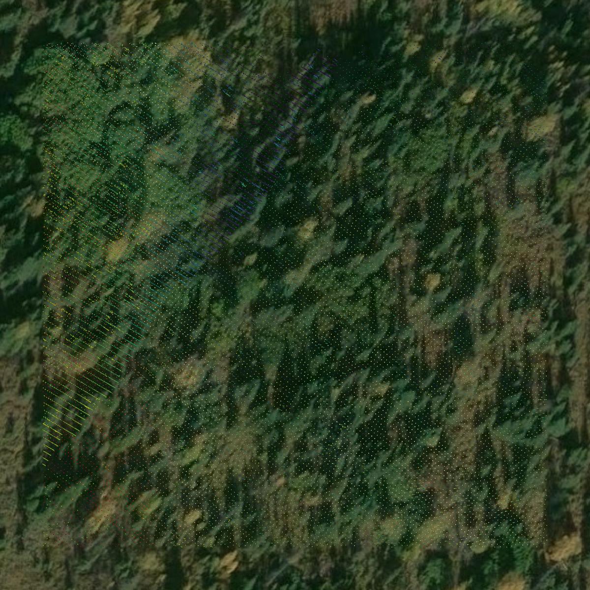 This image shows a LiDAR point cloud in Kenai Peninsula Borough created using GIS data in Equator.