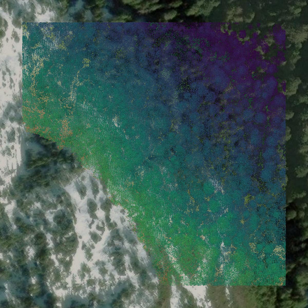 This image shows a LiDAR point cloud in Ketchikan Gateway Borough created using GIS data in Equator.