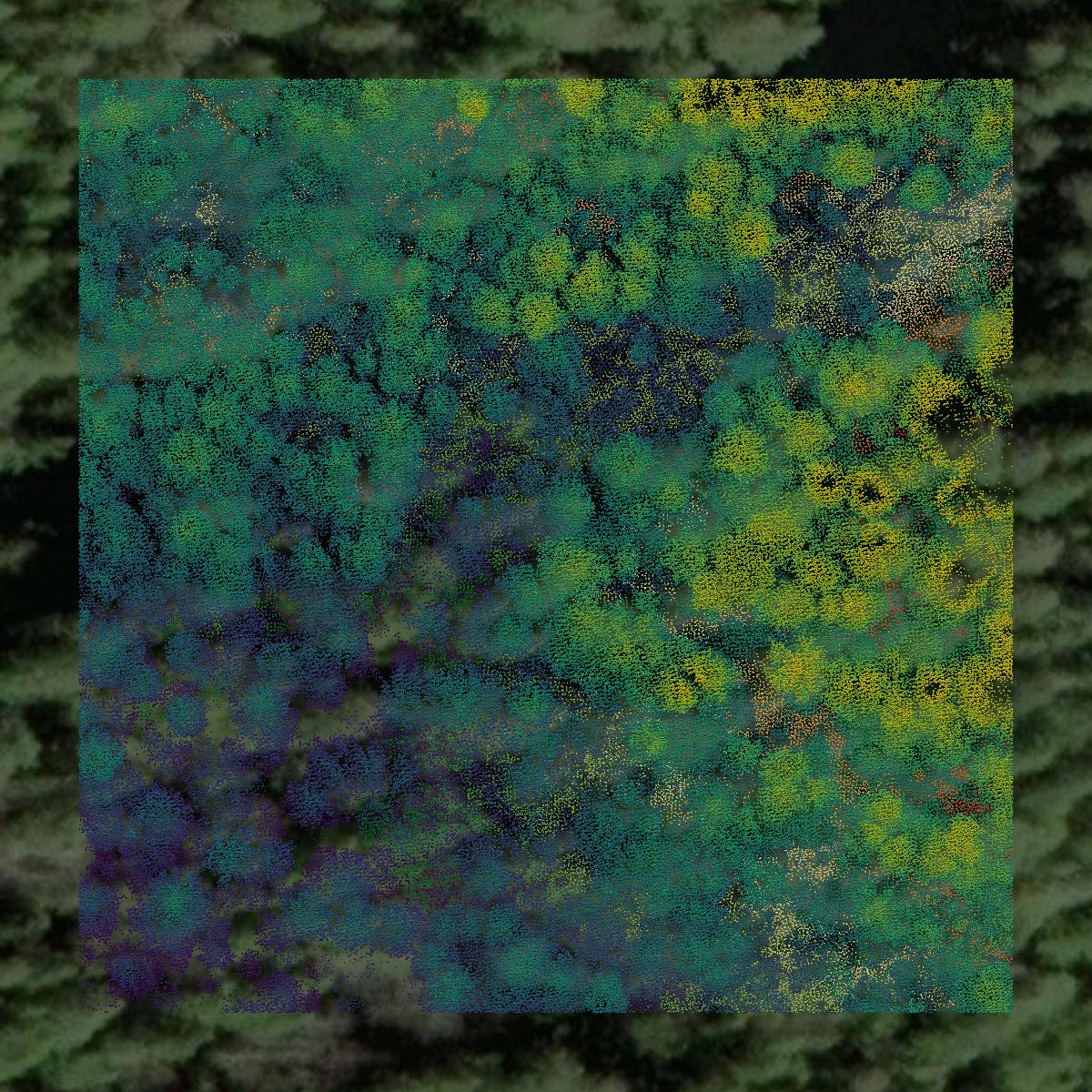 This image shows a LiDAR point cloud in Ketchikan Gateway Borough created using GIS data in Equator.