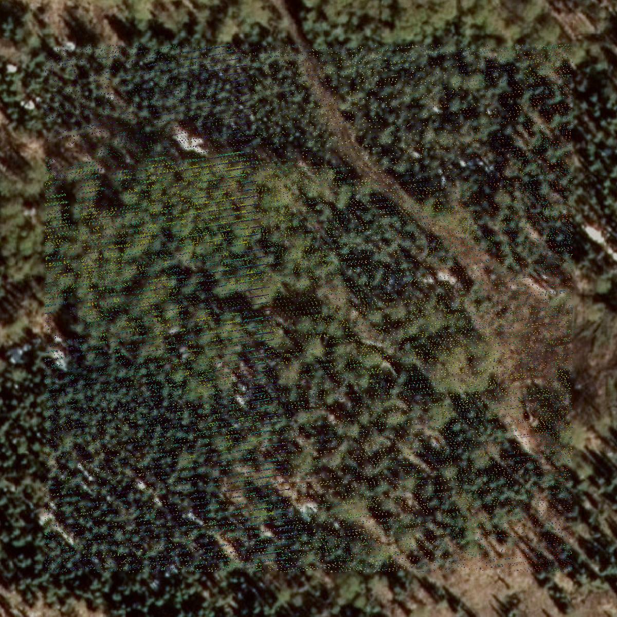 This image shows a LiDAR point cloud in Matanuska-Susitna Borough created using GIS data in Equator.