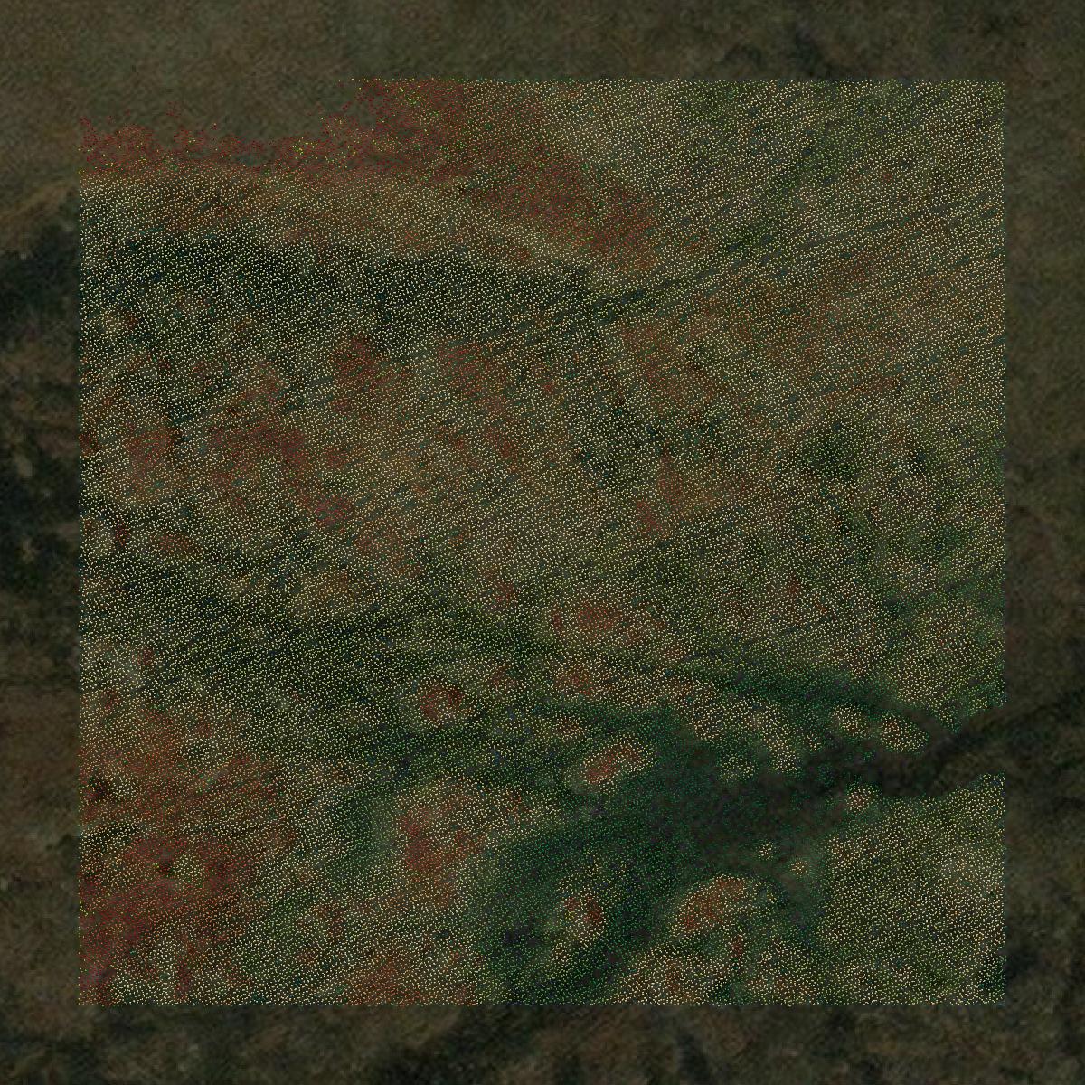 This image shows a LiDAR point cloud in Nome Census Area created using GIS data in Equator.