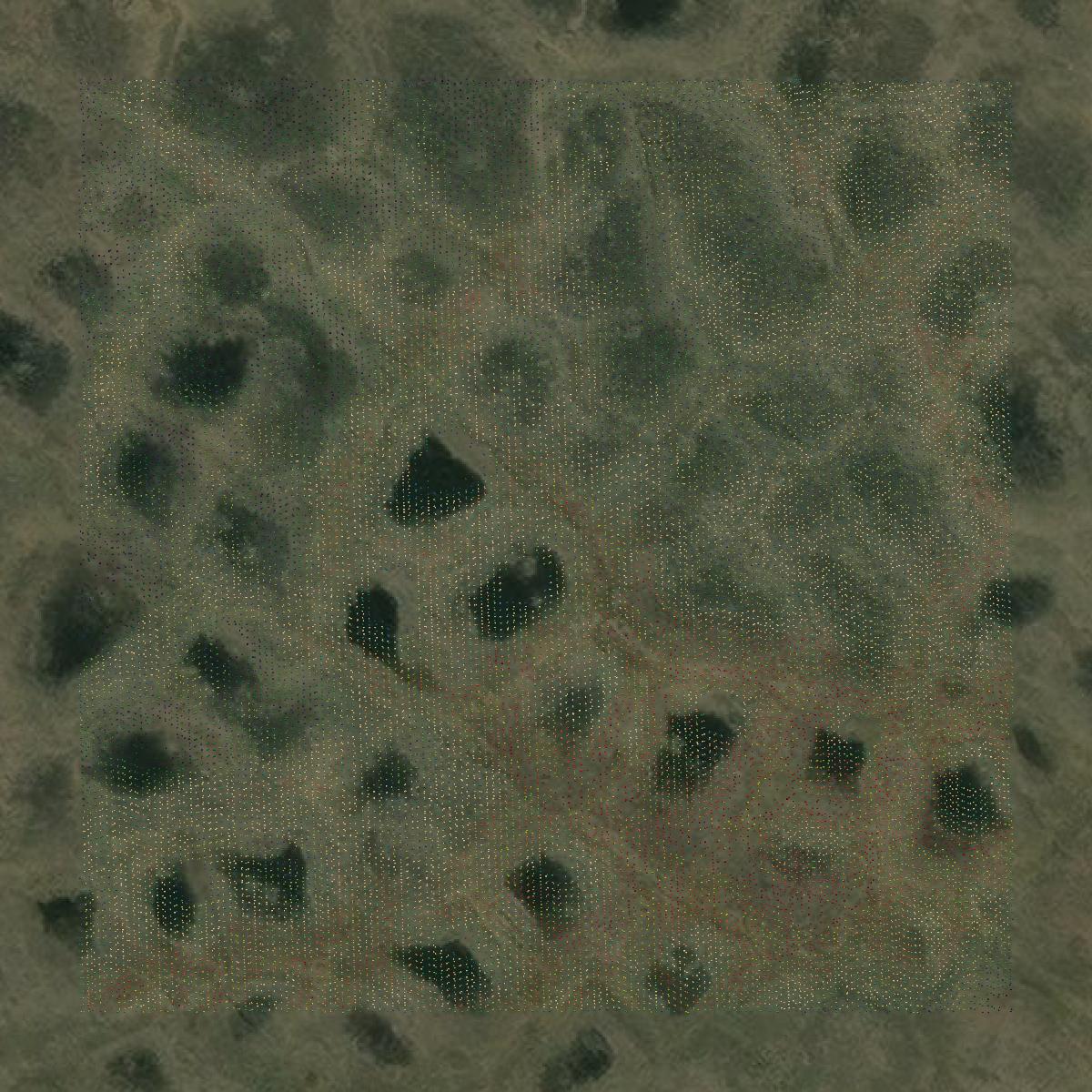 This image shows a LiDAR point cloud in North Slope Borough created using GIS data in Equator.