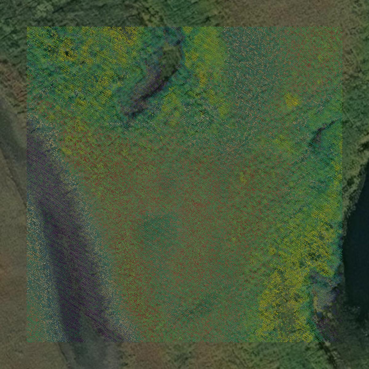 This image shows a LiDAR point cloud in Northwest Arctic Borough created using GIS data in Equator.