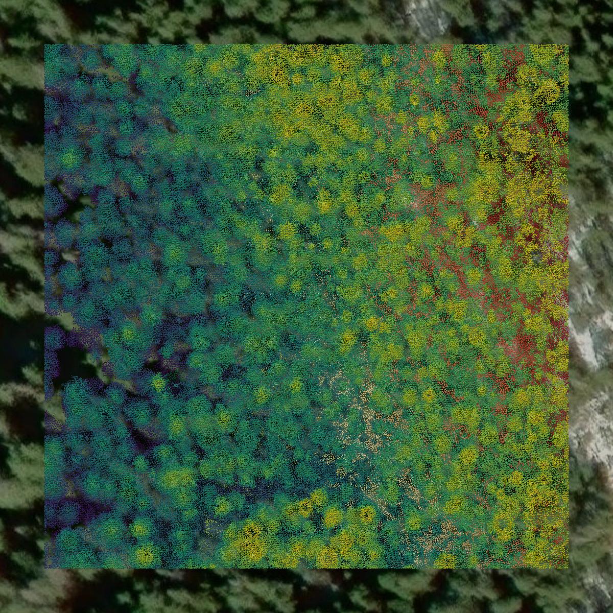 This image shows a LiDAR point cloud in Prince of Wales-Hyder Census Area created using GIS data in Equator.