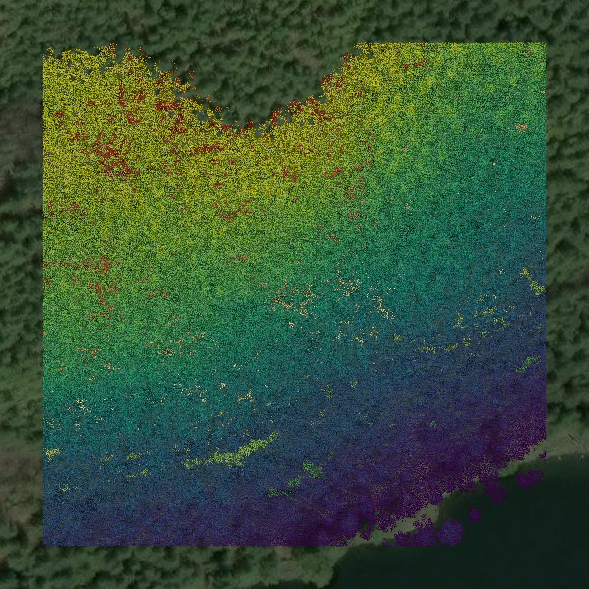 This image shows a LiDAR point cloud in Prince of Wales-Hyder Census Area created using GIS data in Equator.