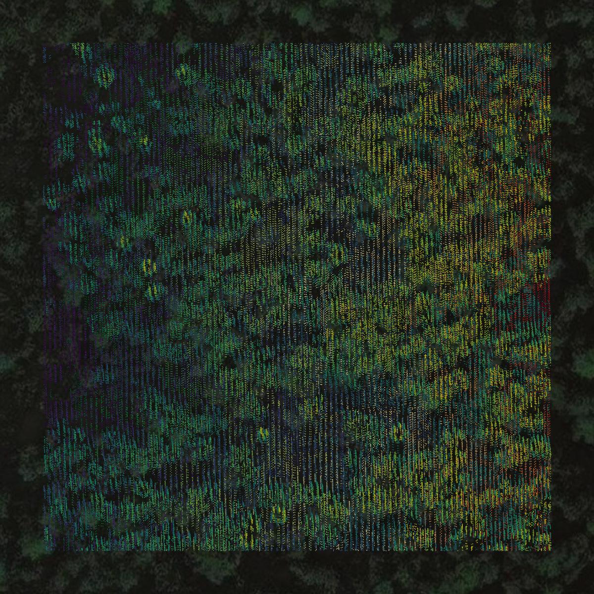 This image shows a LiDAR point cloud in Southeast Fairbanks Census Area created using GIS data in Equator.