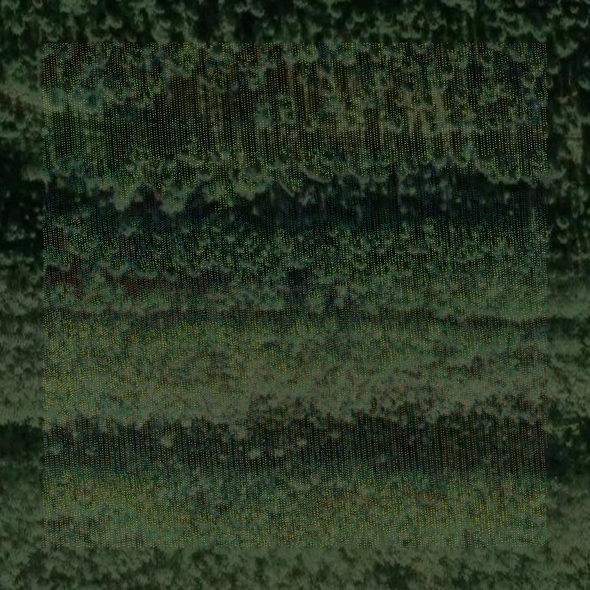 This image shows a LiDAR point cloud in Southeast Fairbanks Census Area created using GIS data in Equator.