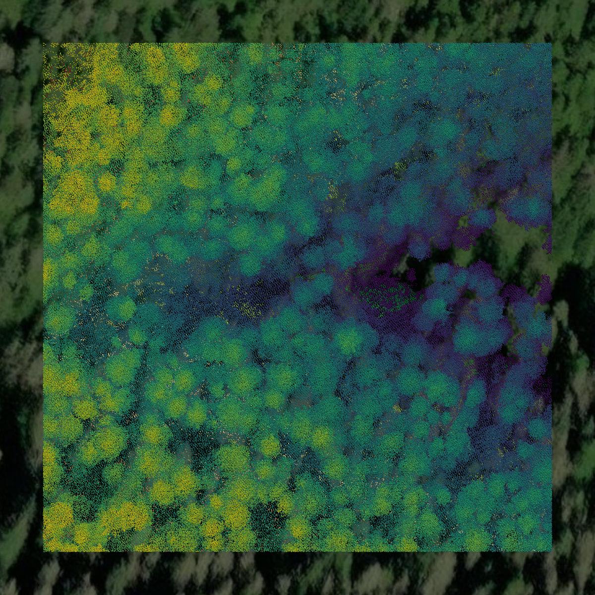 This image shows a LiDAR point cloud in Wrangell City and Borough created using GIS data in Equator.