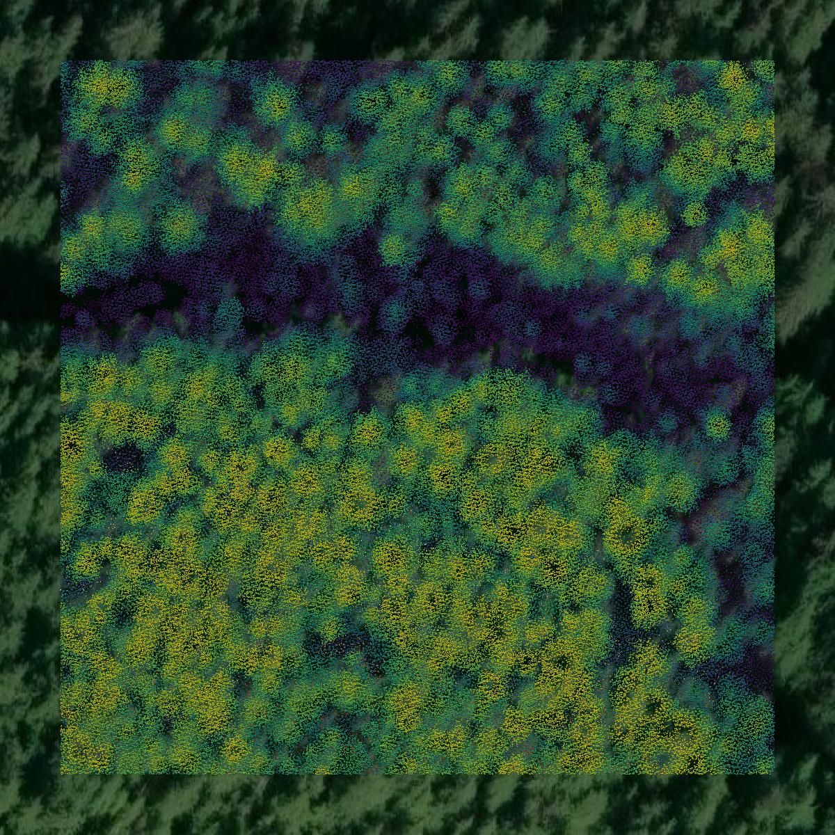 This image shows a LiDAR point cloud in Yakutat City and Borough created using GIS data in Equator.