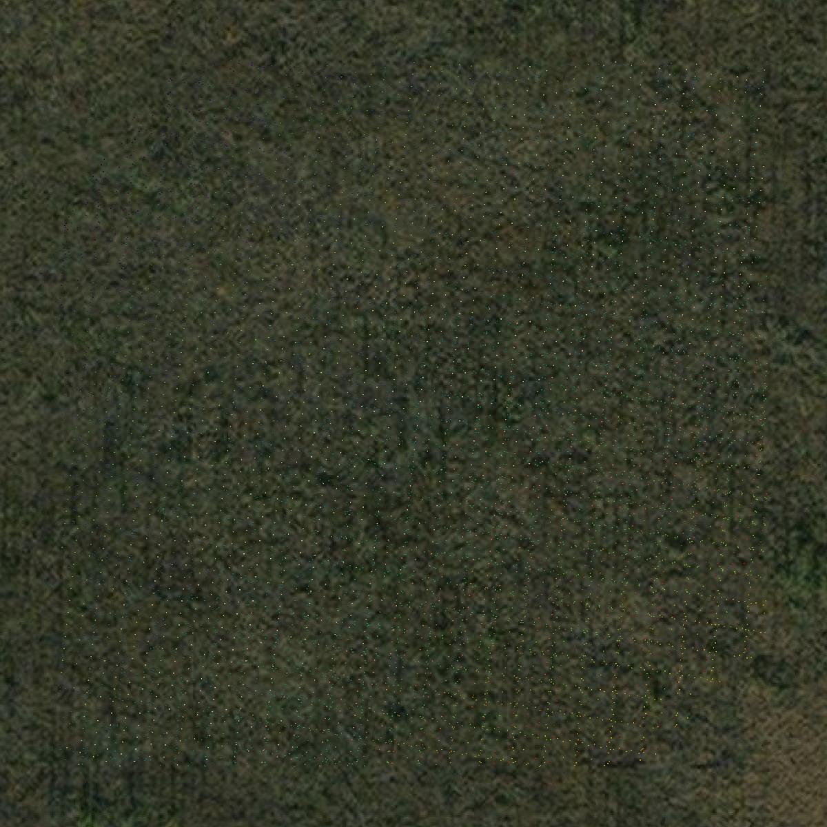 This image shows a LiDAR point cloud in Yukon-Koyukuk Census Area created using GIS data in Equator.