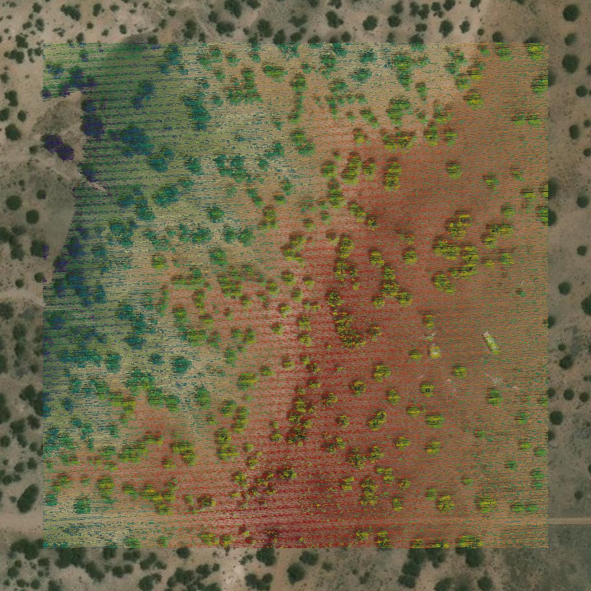 This image shows a LiDAR point cloud in Apache County created using GIS data in Equator.