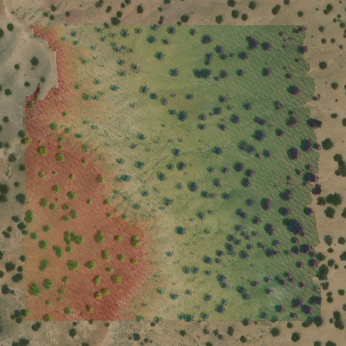 This image shows a LiDAR point cloud in Apache County created using GIS data in Equator.