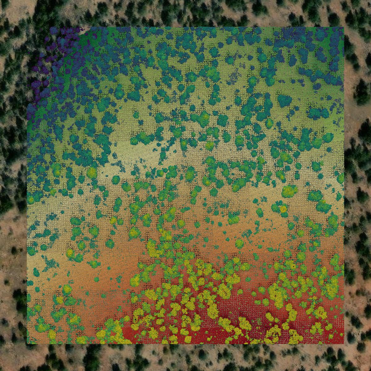 This image shows a LiDAR point cloud in Coconino County created using GIS data in Equator.