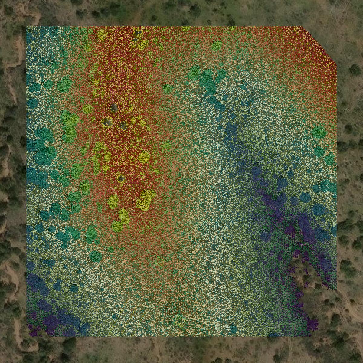 This image shows a LiDAR point cloud in Gila County created using GIS data in Equator.