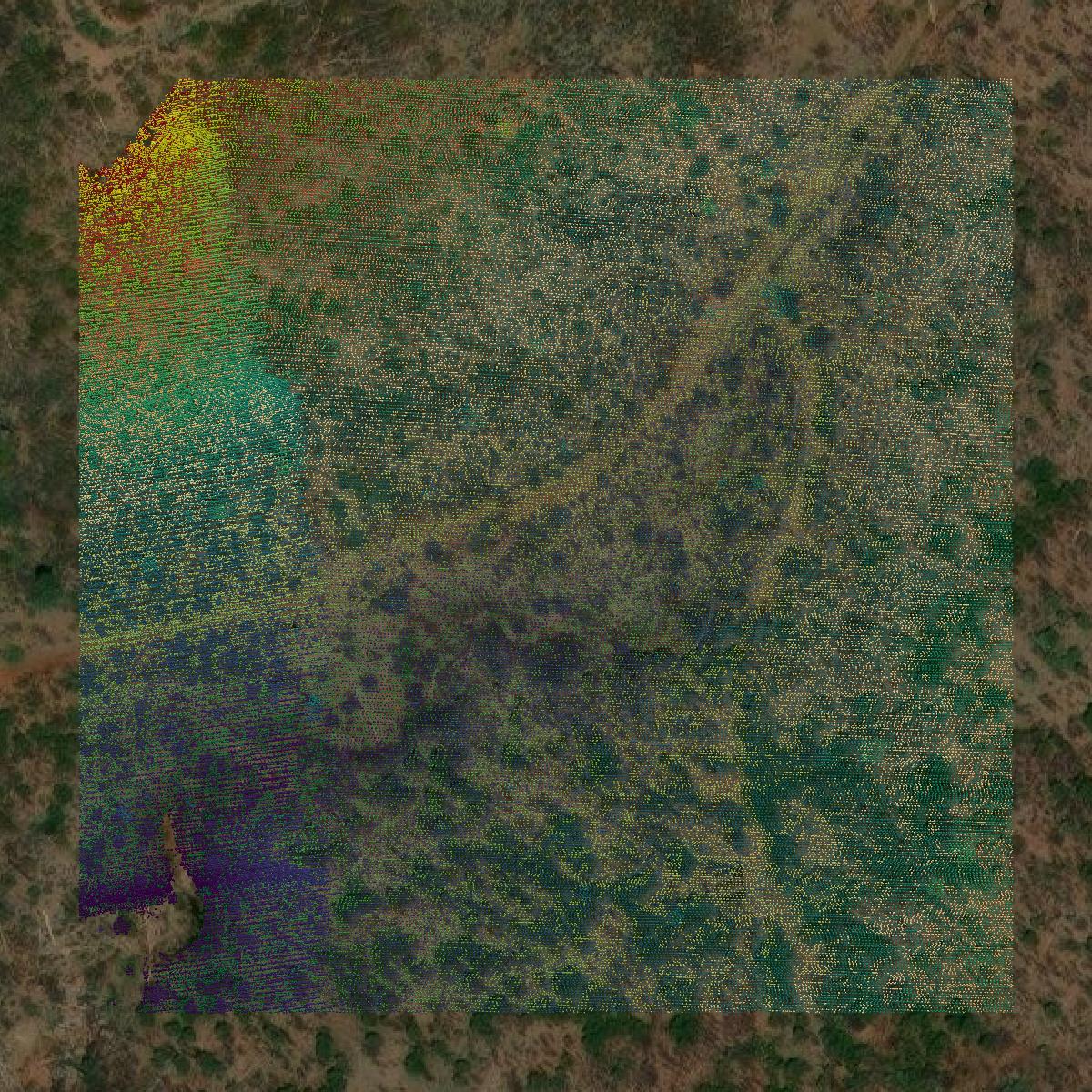 This image shows a LiDAR point cloud in Gila County created using GIS data in Equator.