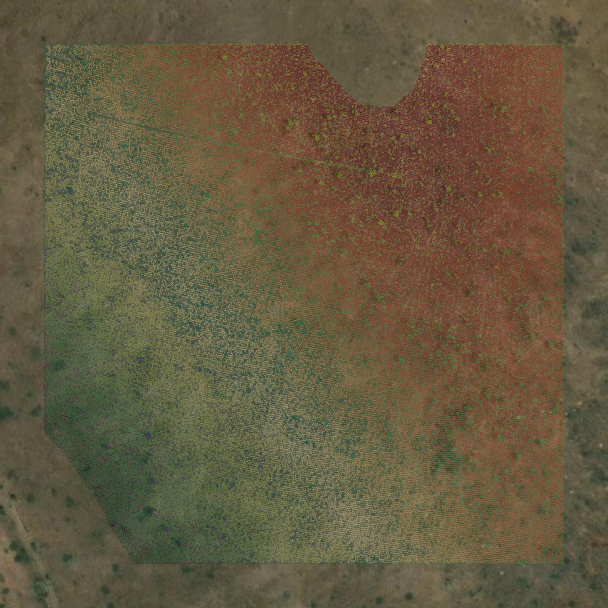 This image shows a LiDAR point cloud in Greenlee County created using GIS data in Equator.