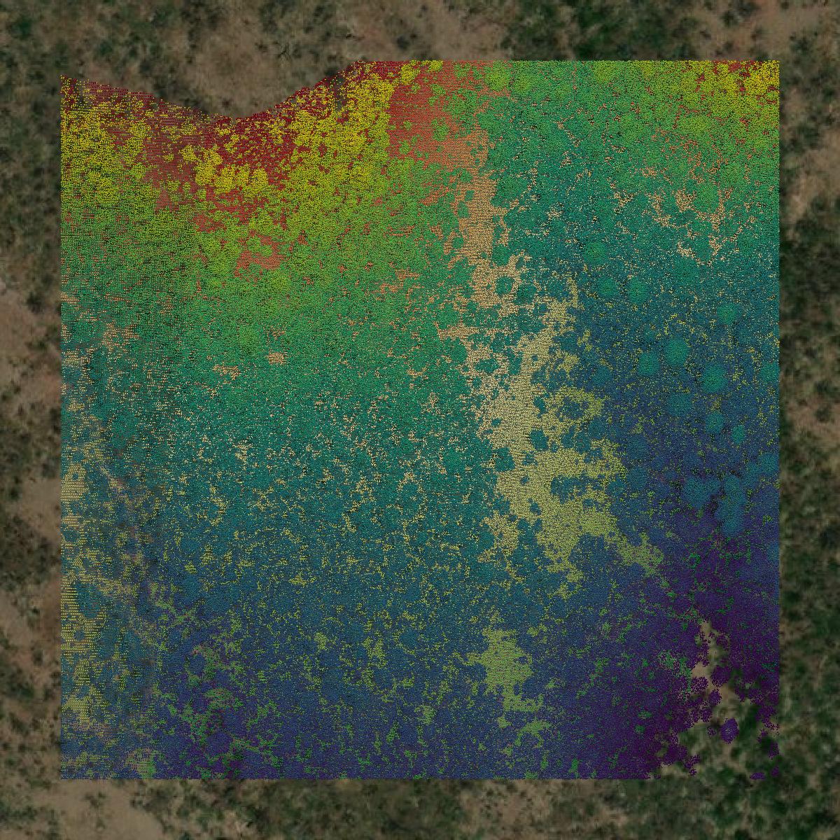 This image shows a LiDAR point cloud in Greenlee County created using GIS data in Equator.