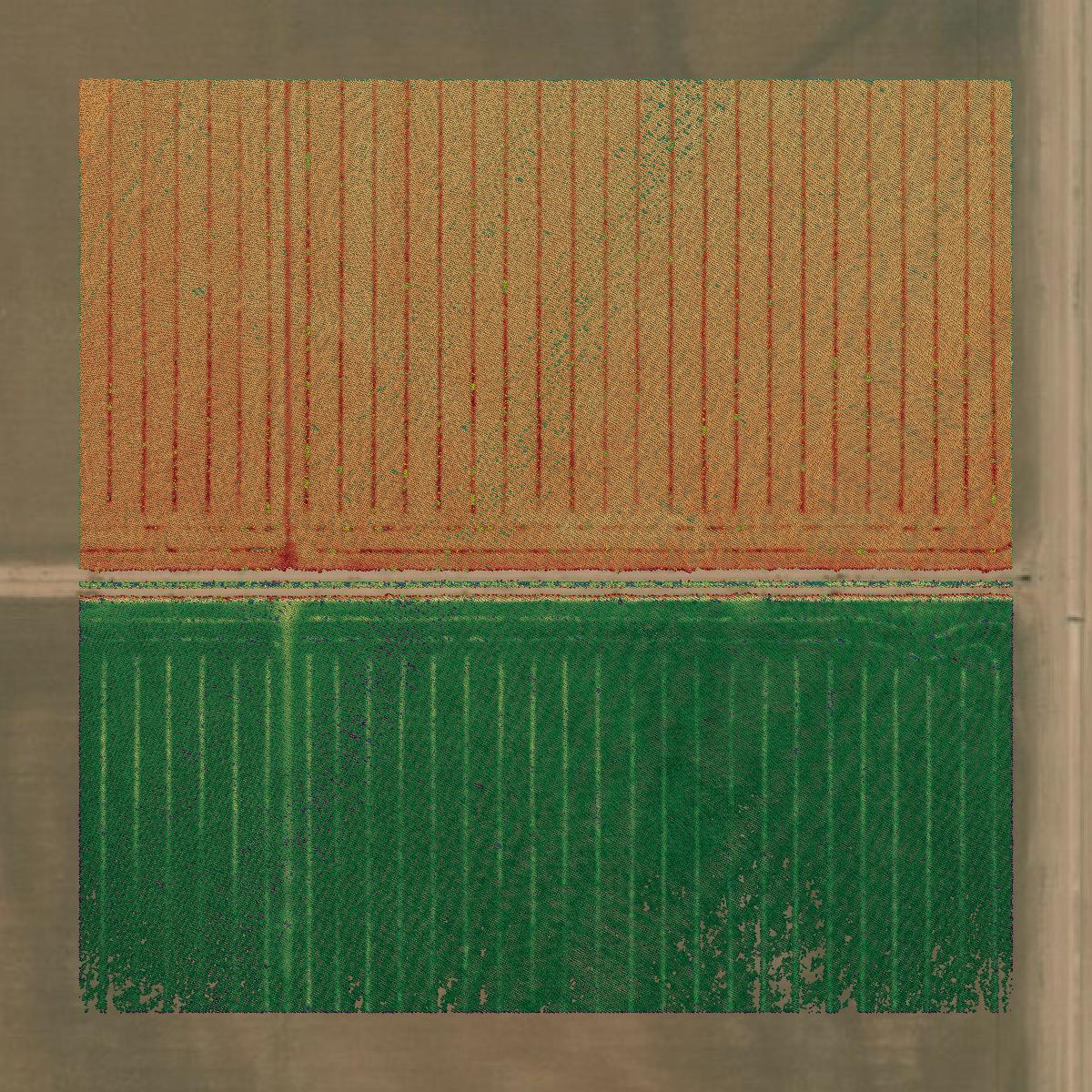 This image shows a LiDAR point cloud in La Paz County created using GIS data in Equator.