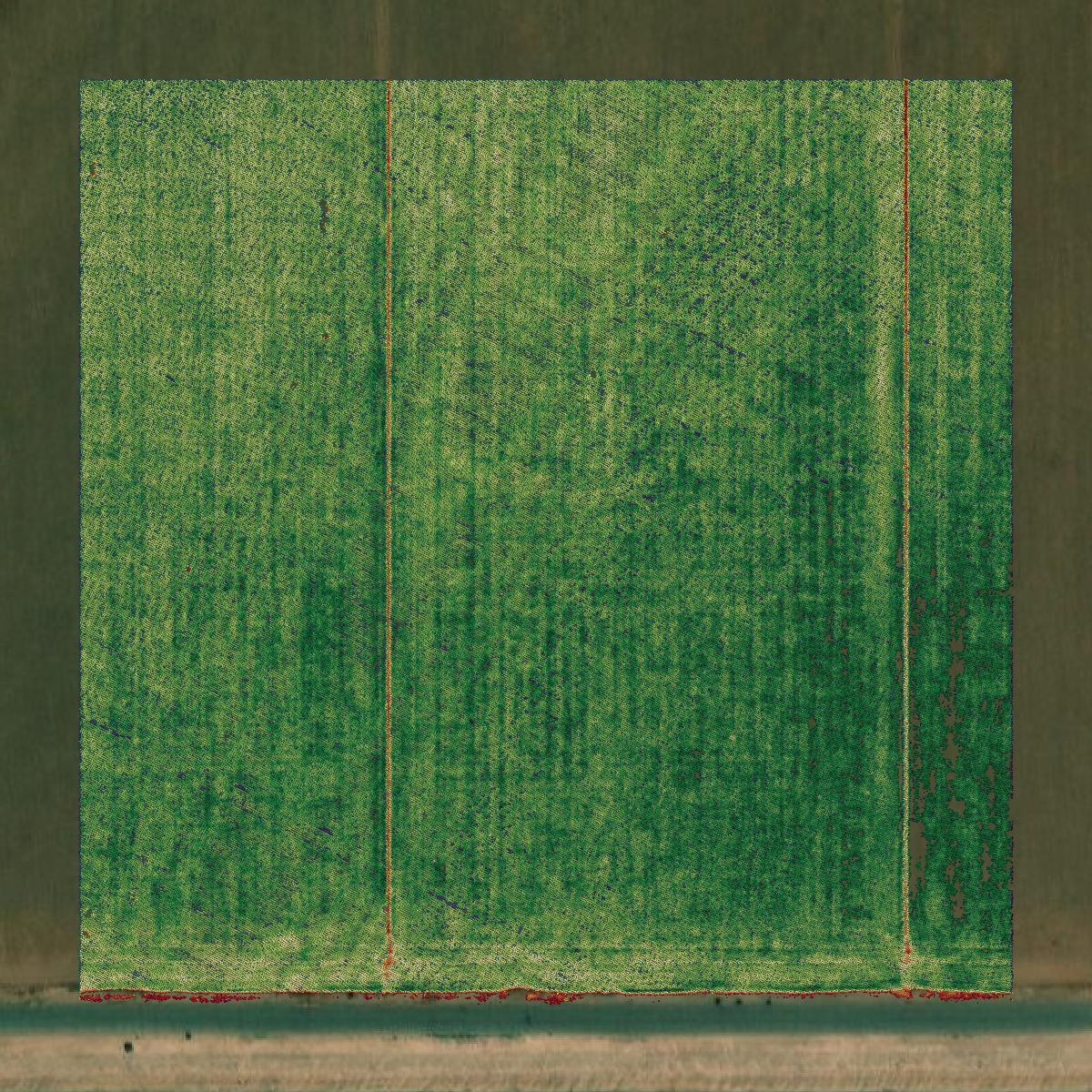 This image shows a LiDAR point cloud in La Paz County created using GIS data in Equator.