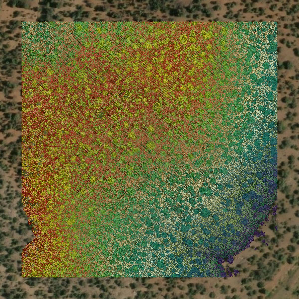 This image shows a LiDAR point cloud in Navajo County created using GIS data in Equator.