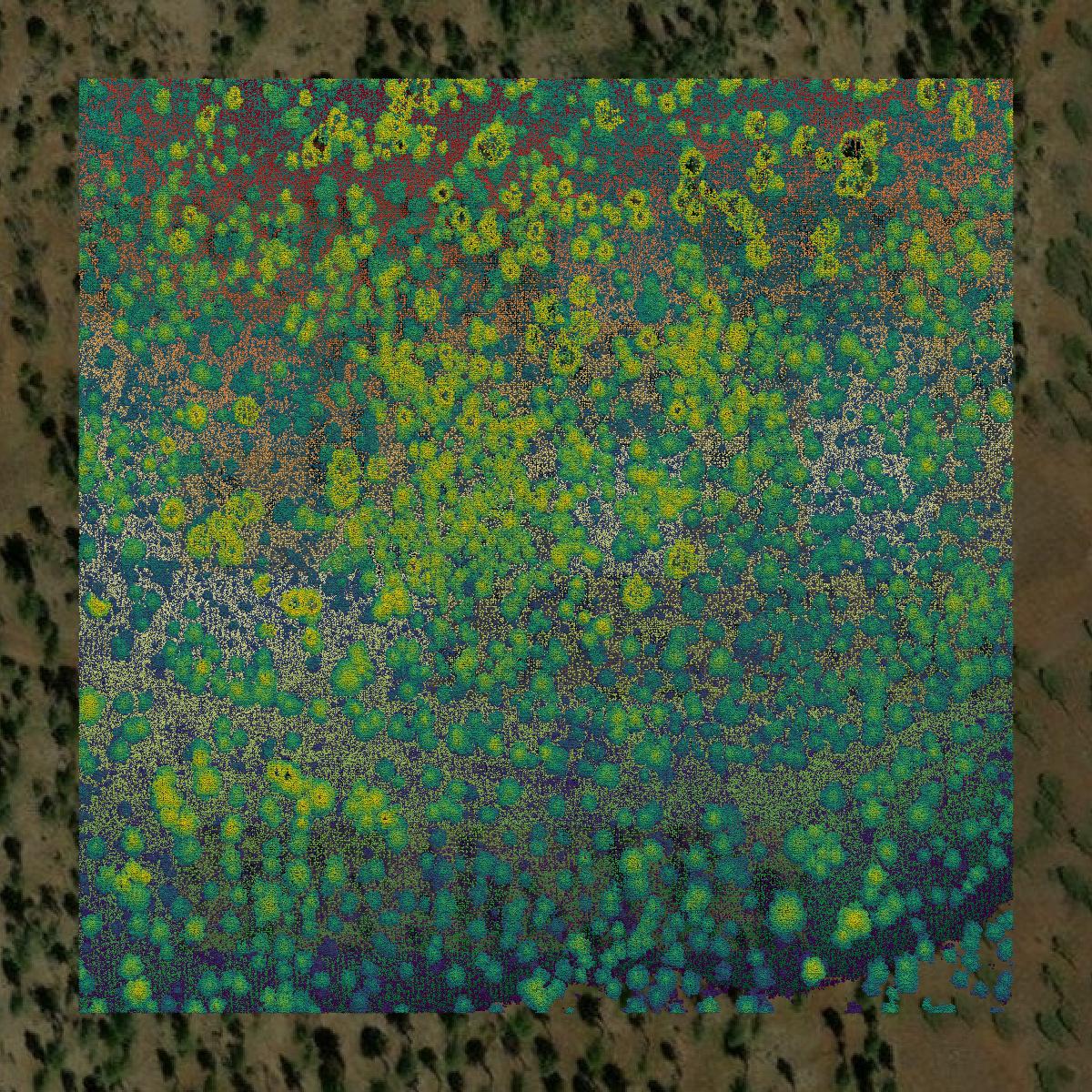 This image shows a LiDAR point cloud in Navajo County created using GIS data in Equator.